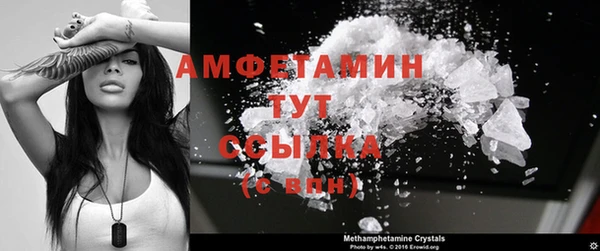 мдпв Гусь-Хрустальный