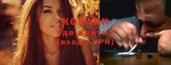 мдпв Гусь-Хрустальный