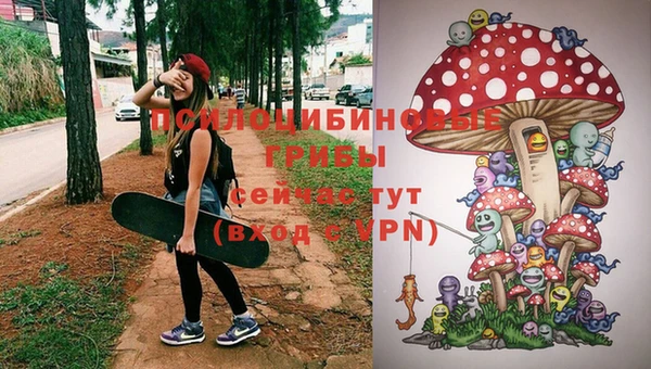 мдпв Гусь-Хрустальный