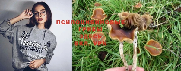 мдпв Гусь-Хрустальный