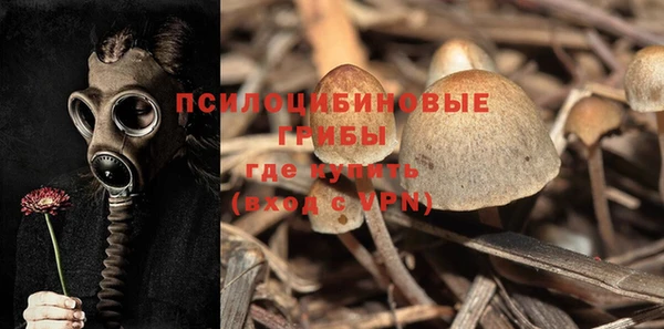 а пвп мука Гусев