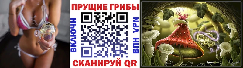 Галлюциногенные грибы прущие грибы  Купить закладки  Ивантеевка 